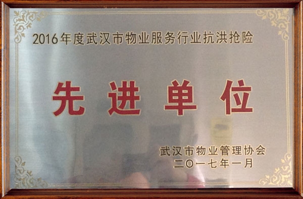 &#38647;&#36895;&#45;&#38647;&#36895;&#65288;&#20013;&#22269;&#65289;