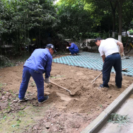 &#38647;&#36895;&#45;&#38647;&#36895;&#65288;&#20013;&#22269;&#65289;