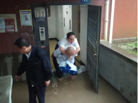 &#38647;&#36895;&#45;&#38647;&#36895;&#65288;&#20013;&#22269;&#65289;