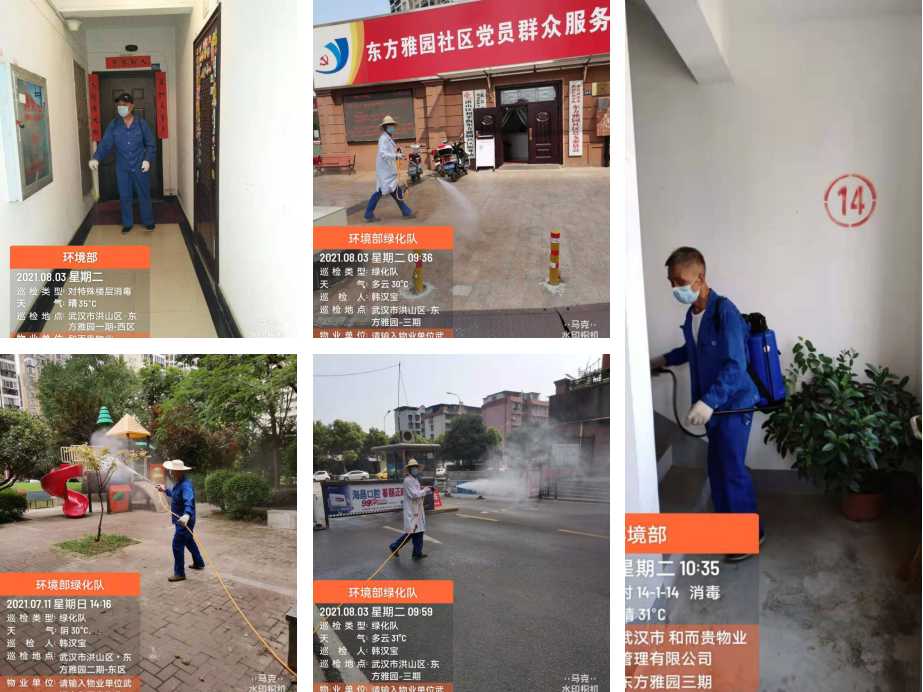 &#38647;&#36895;&#45;&#38647;&#36895;&#65288;&#20013;&#22269;&#65289;